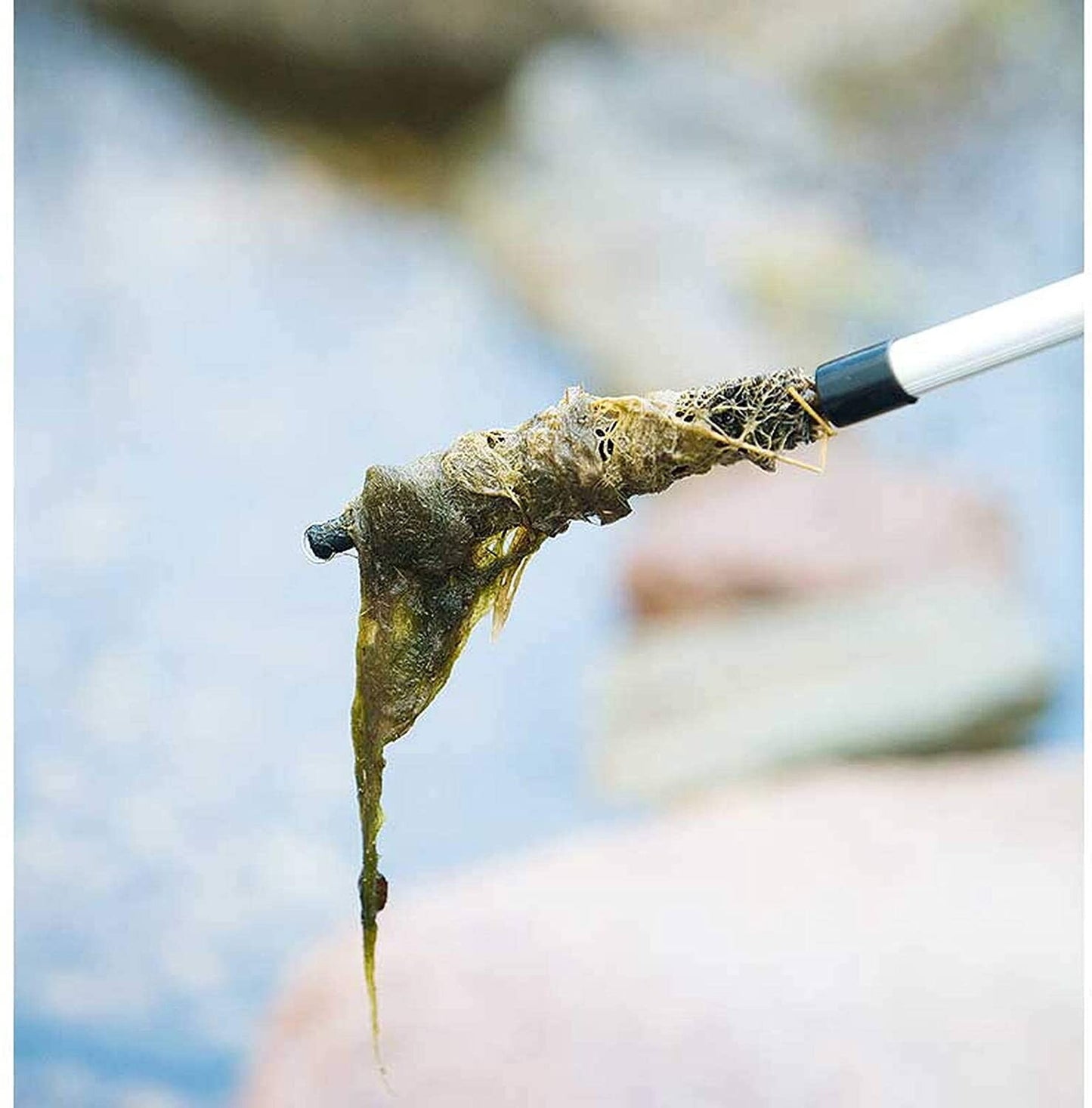 Heissner Pond Blanket Weed Brush Telescopic 70–170cm Algae Cleaner Tool
