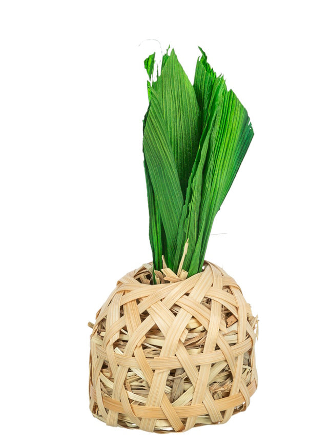 Trixie Natural Pineapple Bamboo With Cornleaf Small Animal Toy