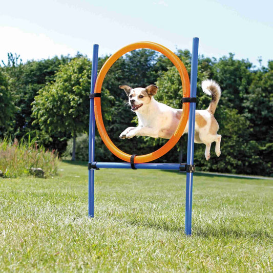 Trixie Fun Agility Ring, Plastic, 115 x 3 cm Blue/Orange