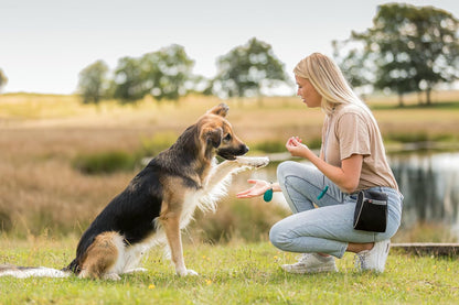 Trixie Soft Snacks Bony Mix Small Bite Sized Dog Treats - Perfect For Training 1.8kg