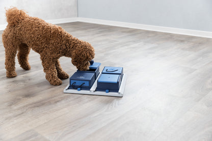 Trixie Poker Box Dog Strategy Game