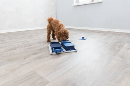 Trixie Poker Box Dog Strategy Game