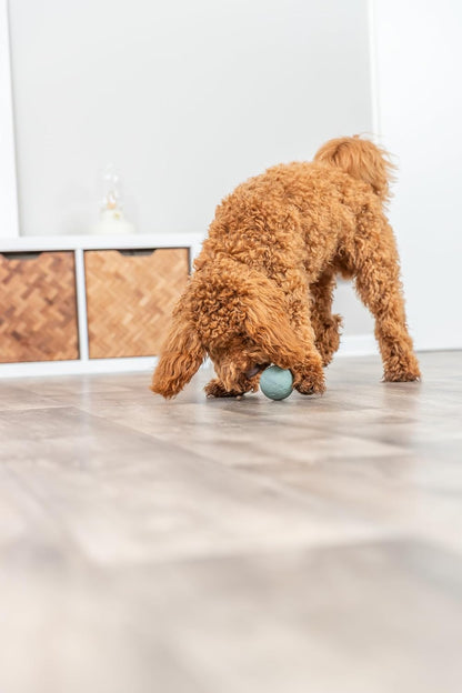 Trixie Snack Ball 6cm Assorted Colours