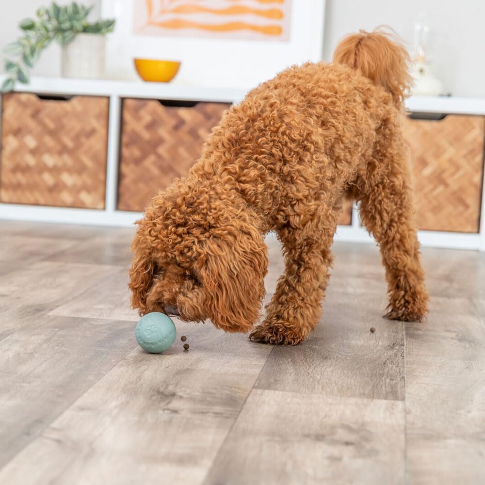 Trixie Snack Ball 6cm Assorted Colours