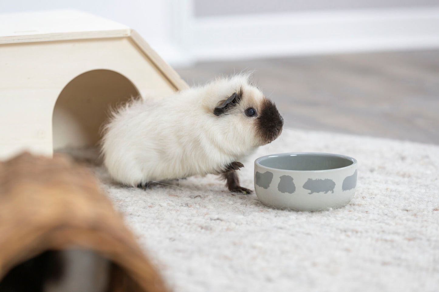 Trixie Guinea Pig Motif Ceramic Bowl 250ml
