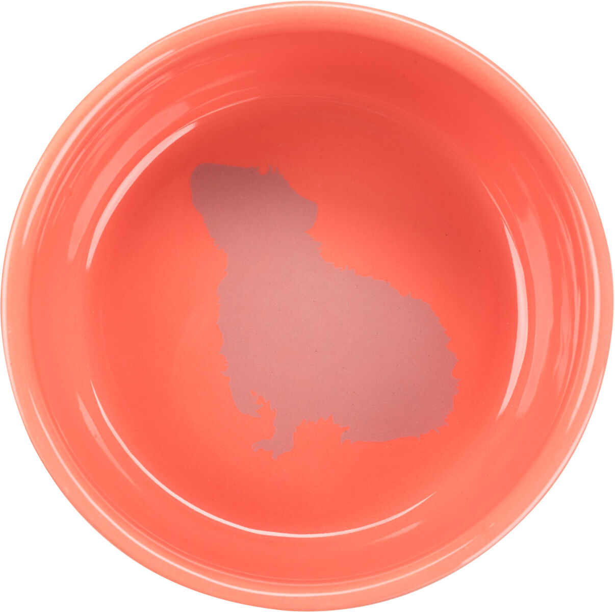 Trixie Guinea Pig Motif Ceramic Bowl 250ml