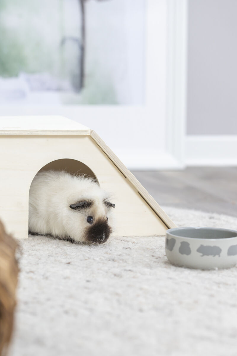 Trixie Guinea Pig Motif Ceramic Bowl 250ml