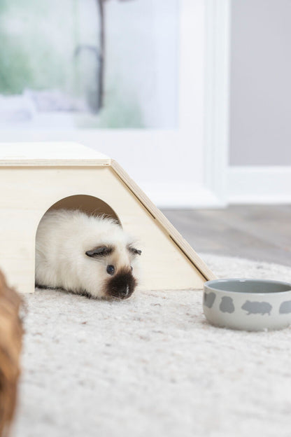Trixie Guinea Pig Motif Ceramic Bowl 250ml