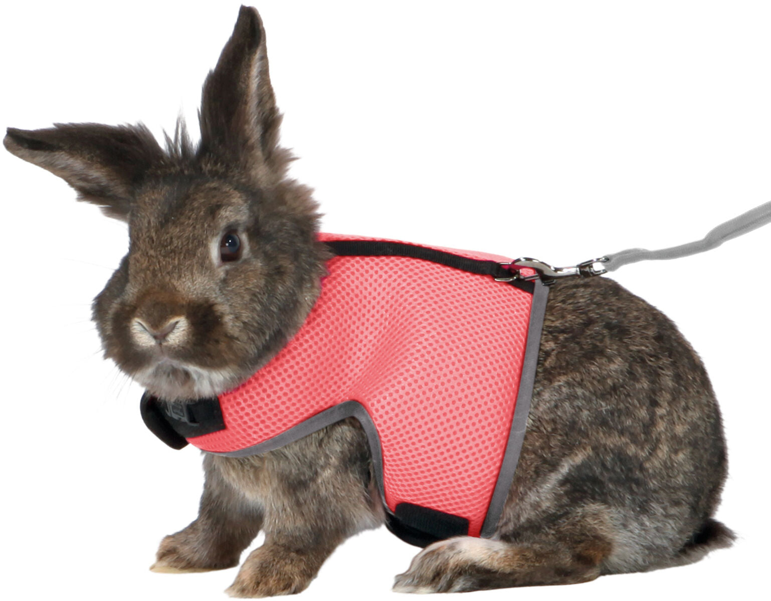 Trixie Extra Large Rabbit Harness Assorted Colours – Wundapets