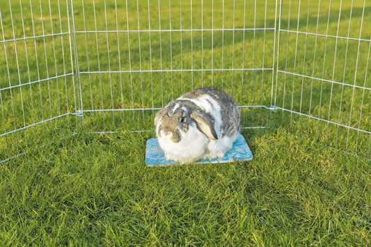 Trixie Small Animal Ceramic Cool Pad