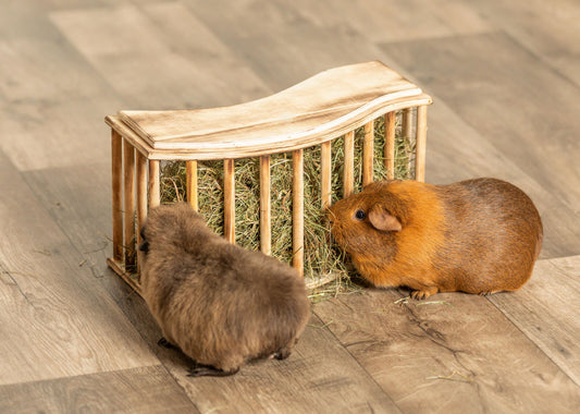 Trixie Large Hay Manger With Lid 37 x 19 x 13cm