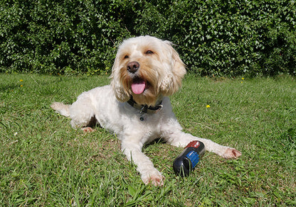 Rosewood Jolly Doggy Throw & Flash Stick