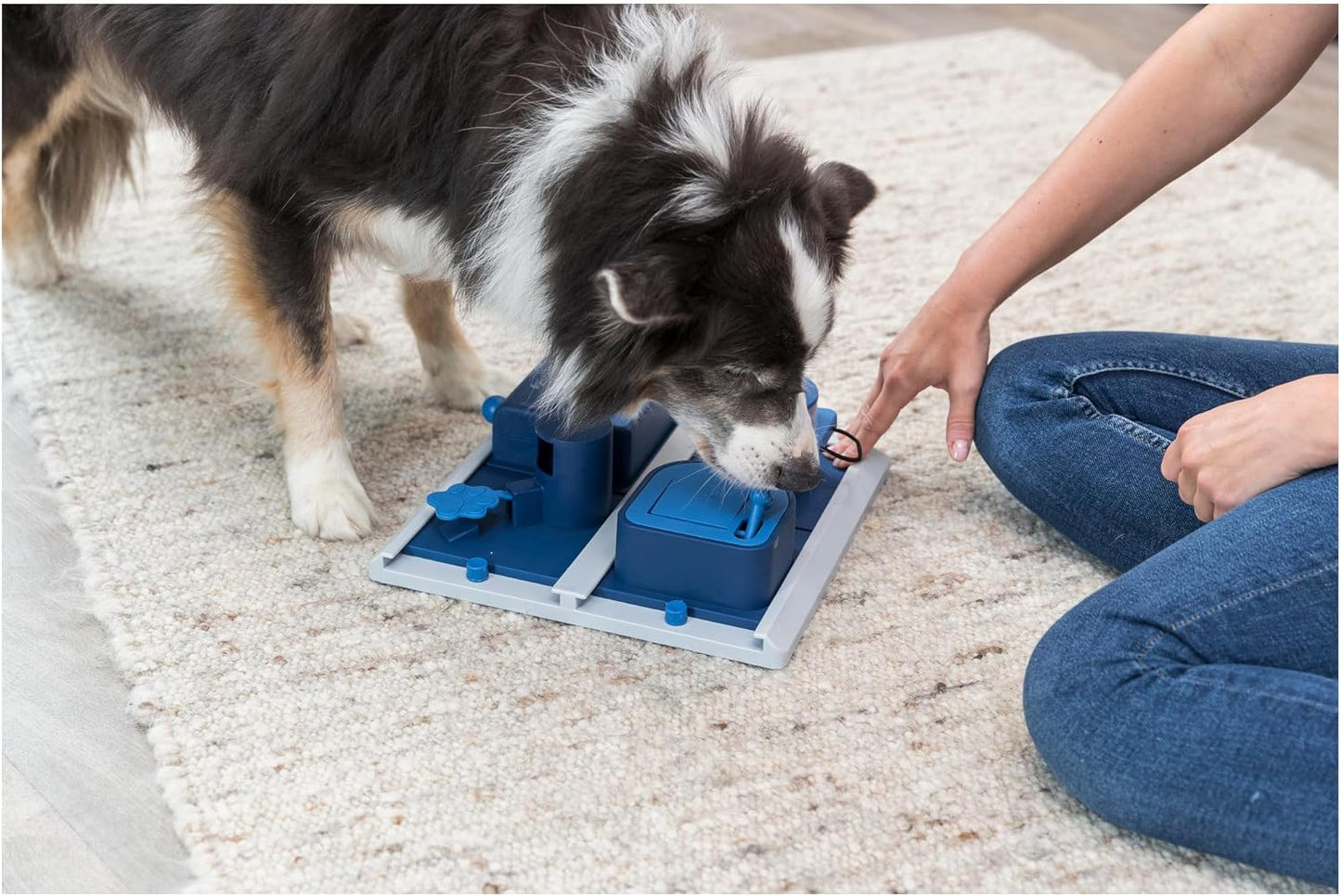 Trixie Dog Activity Poker Box 2 Strategy Game 31 x 31cm