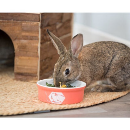 Trixie Hello Comic Rabbit Ceramic Bowl 12cm / 240ml