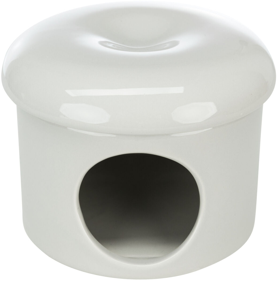 Trixie Ceramic Large Hamster House With Removeable Lid