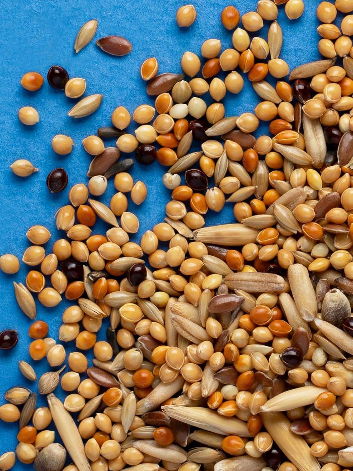 RIO Feed For Budgies Daily Feed 500g