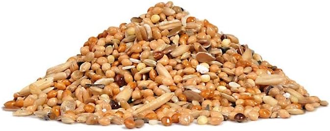 RIO Feed For Budgies Moulting Period Feed 500g