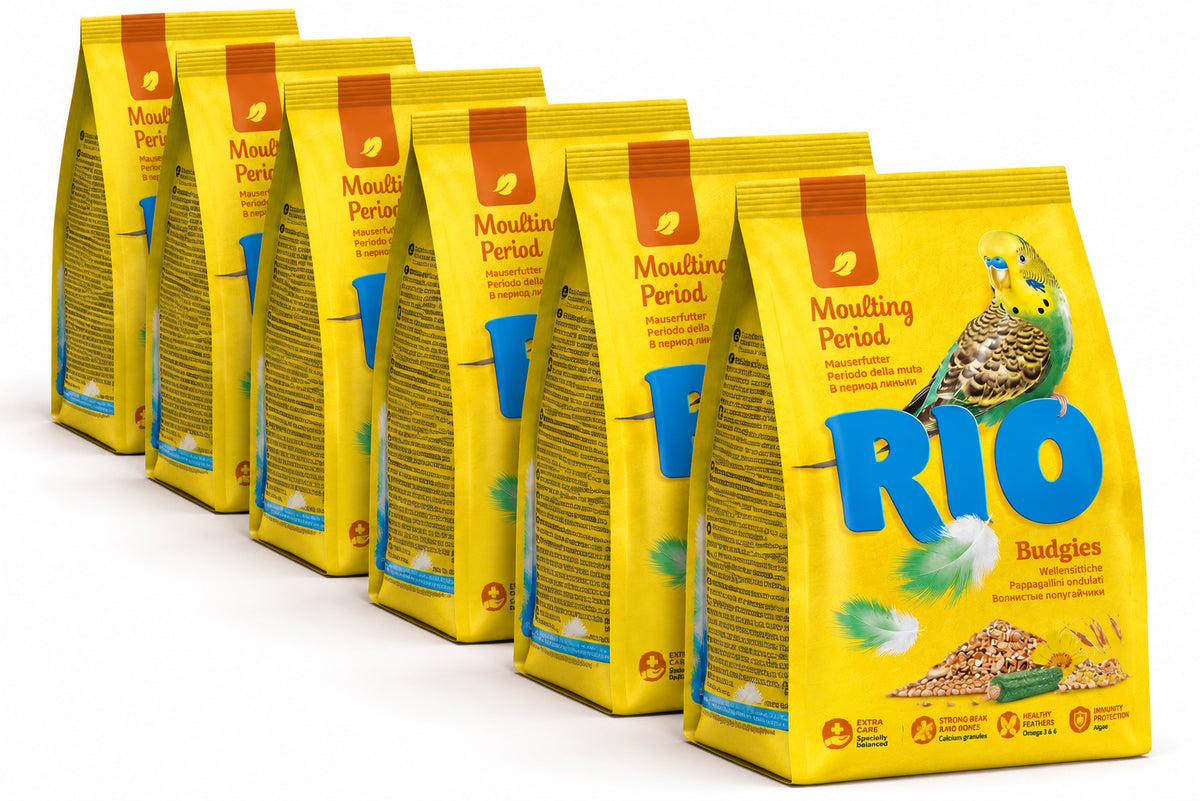 RIO Feed For Budgies Moulting Period Feed 500g