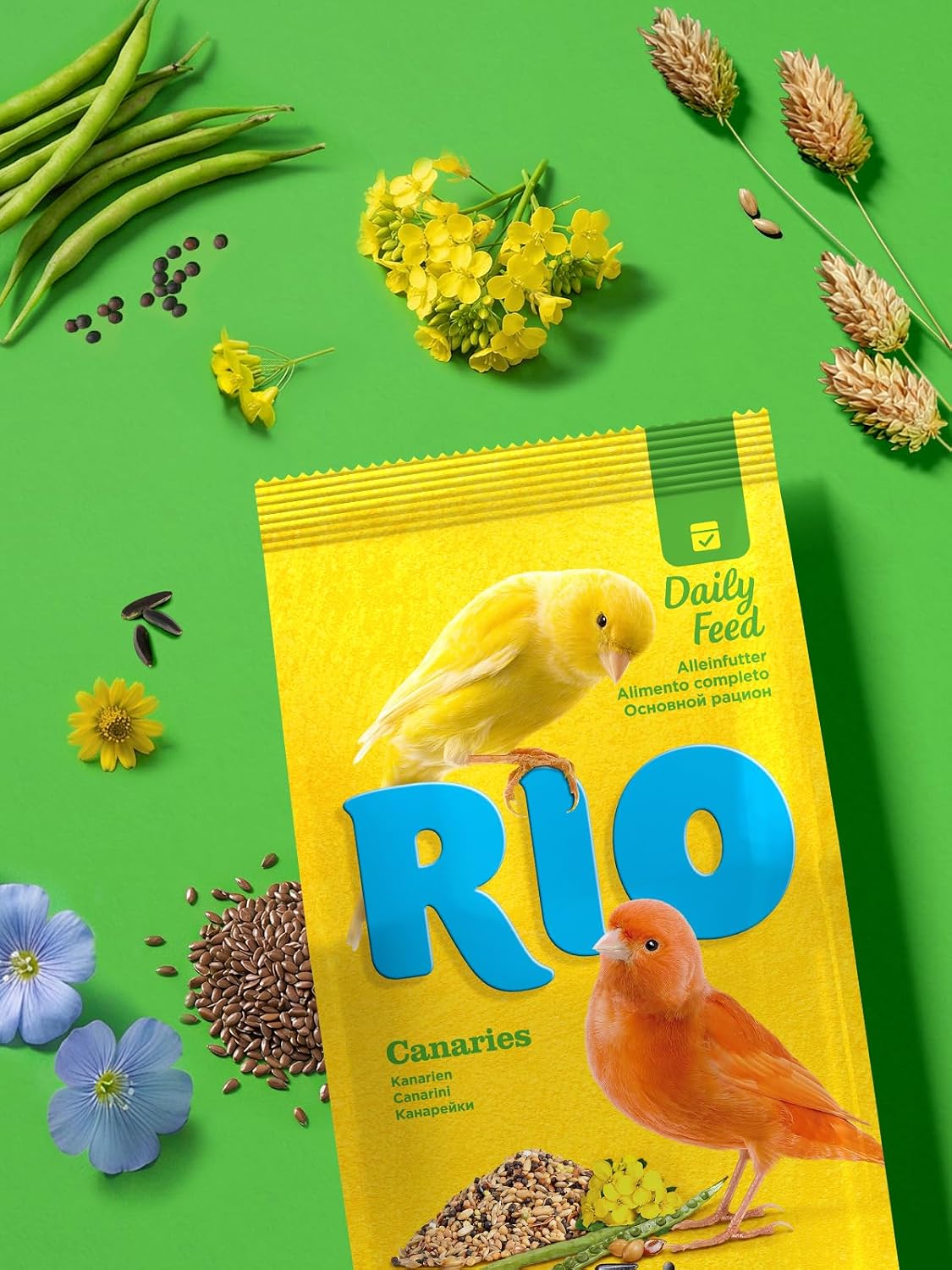 RIO Feed For Canaries Daily Feed 500g