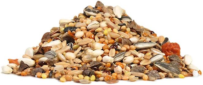 RIO Feed For Parakeets Moulting Period Feed 1kg