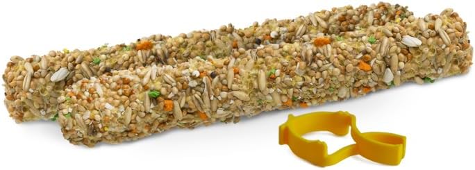 RIO Tropical Fruit Treat Sticks For Small Birds 2 x40g