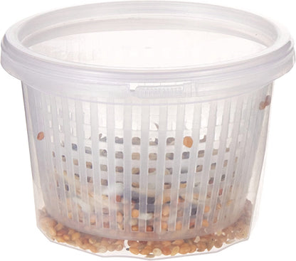 Rio Germination Seeds For All Birds 25g