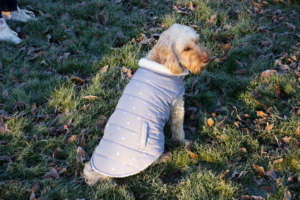 Rosewood Wolf & Tiger Grey Metalic Spot Dog Gilet Medium