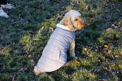 Rosewood Wolf & Tiger Grey Metalic Spot Dog Gilet Medium