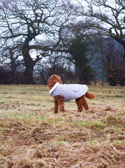 Rosewood Wolf & Tiger Grey Metalic Spot Dog Gilet Medium