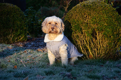Rosewood Wolf & Tiger Grey Metalic Spot Dog Gilet Medium