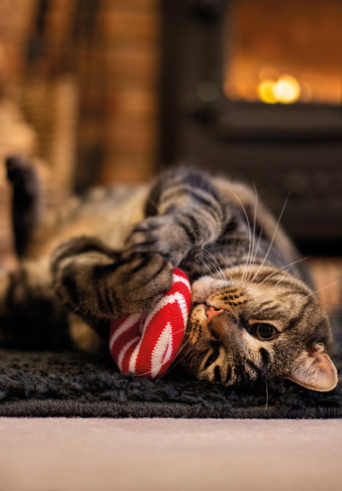 Rosewood Cupid & Comet Festive Kitty Doughnut 3pcs