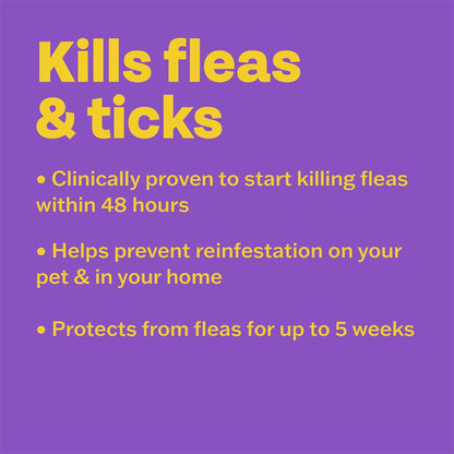 Bob Martin Clear Spot On Flea & Tick Treatment For Cats 1kg+  3 Pipettes