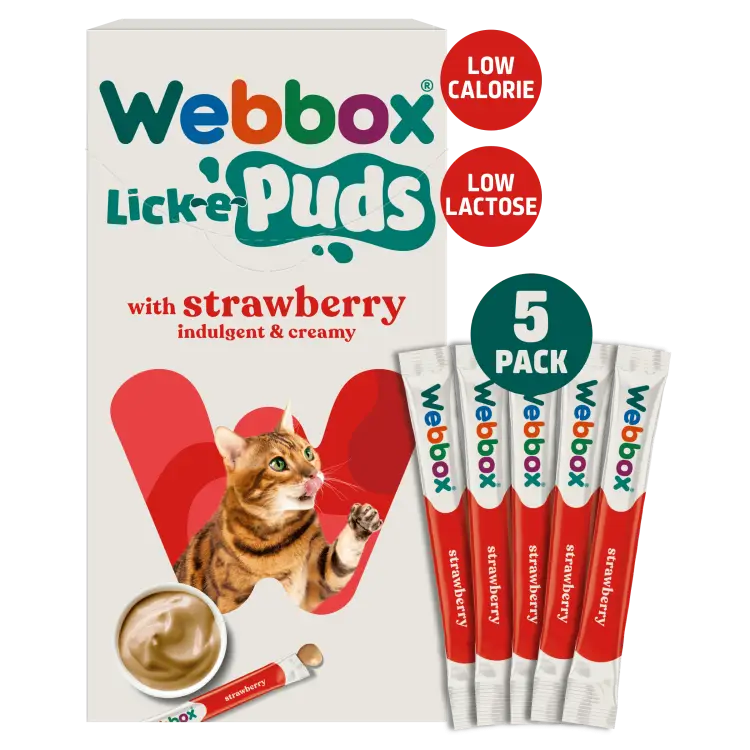 Webbox Lick E Puds Strawberry 5 Pack 75g