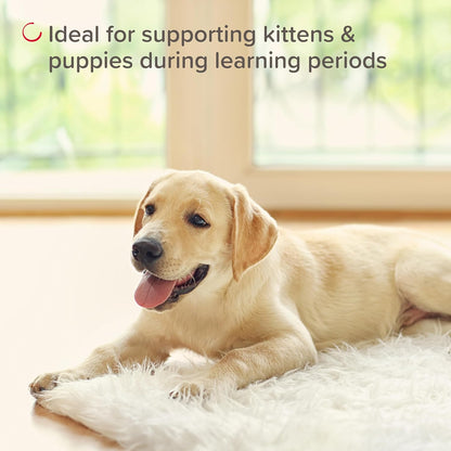 Beaphar Pet Behave Spray 125ml Anti-Chew & Anti-Scratch Training Spray for Cats & Dogs