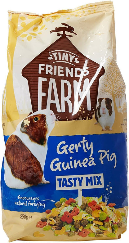 Tiny Friends Gerty Guinea Pig 850g