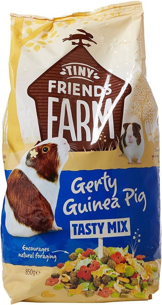 Tiny Friends Gerty Guinea Pig 850g