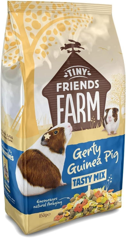 Tiny Friends Gerty Guinea Pig 850g