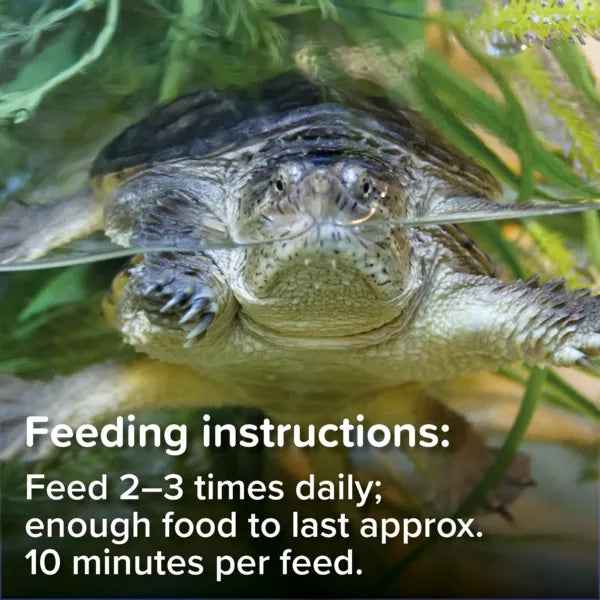 King British Turtle & Terrapin Food 200g