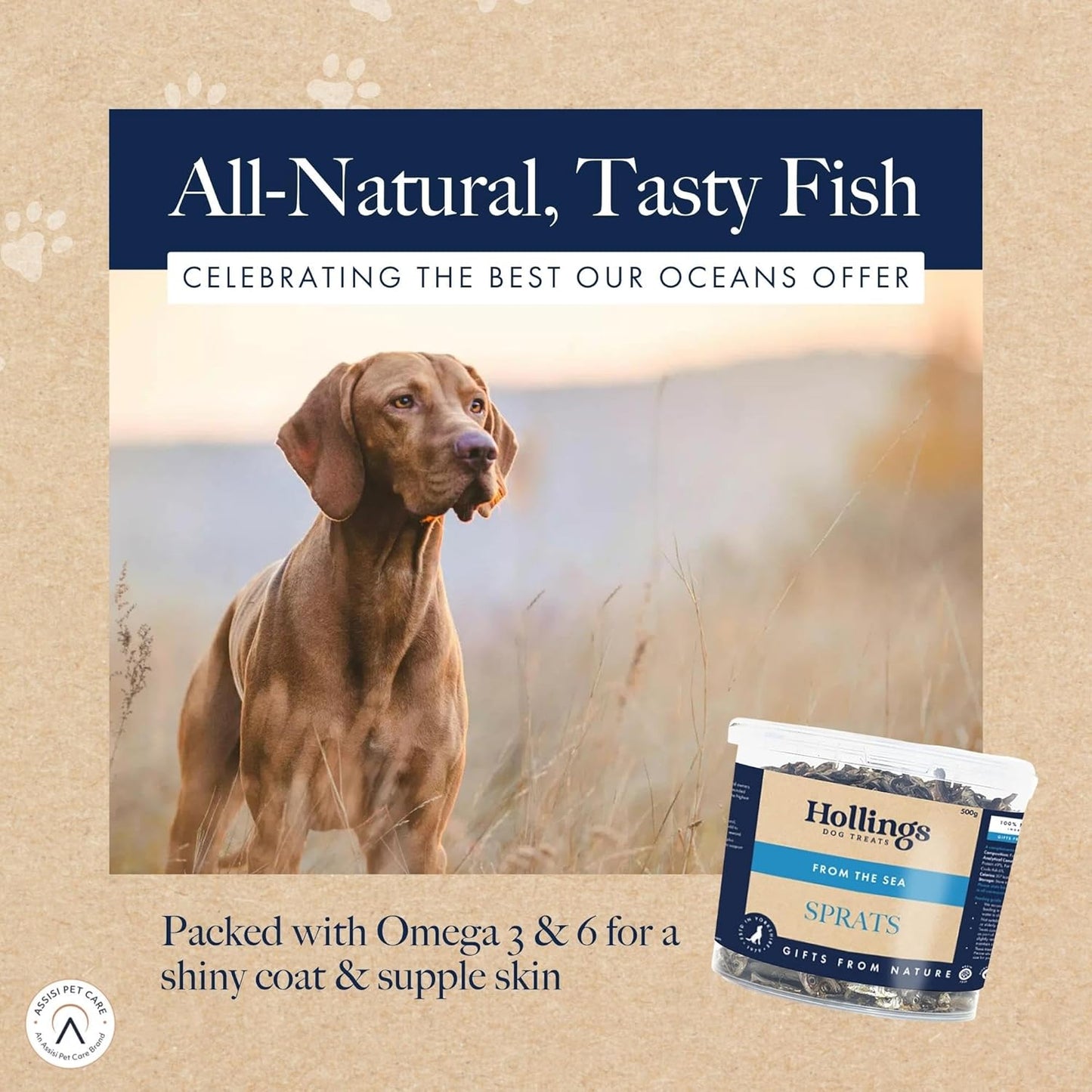 Hollings From The Sea Sprats 500g Tub