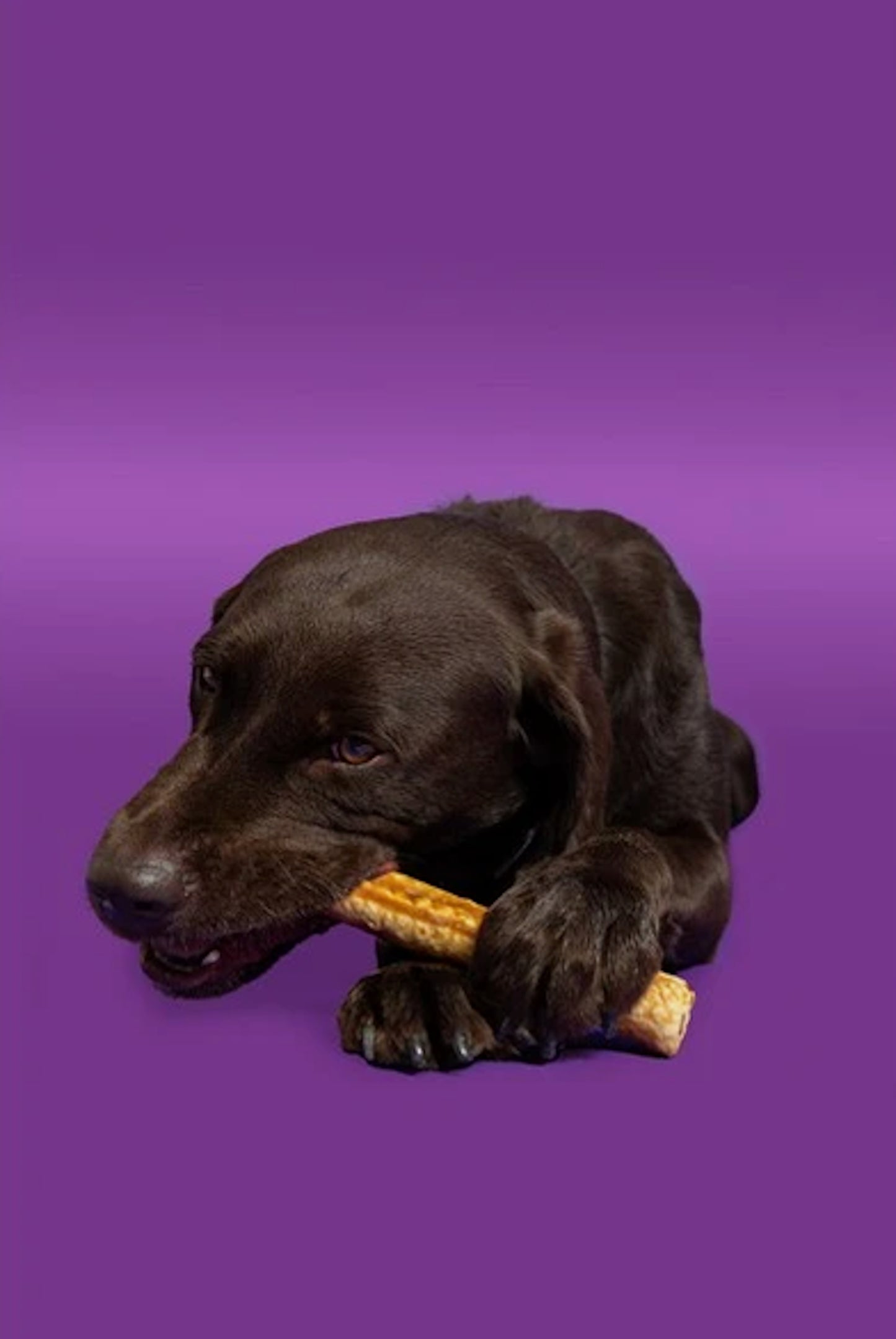 Pawtential Collagen Chew Beef Flavour large 110G