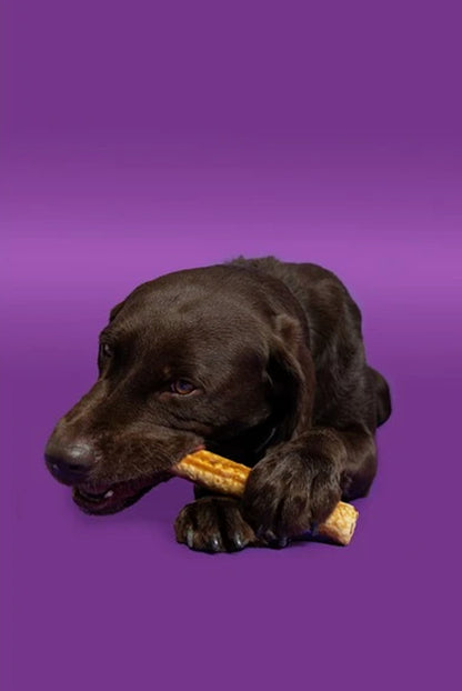 Pawtential Collagen Chew Beef Flavour large 110G