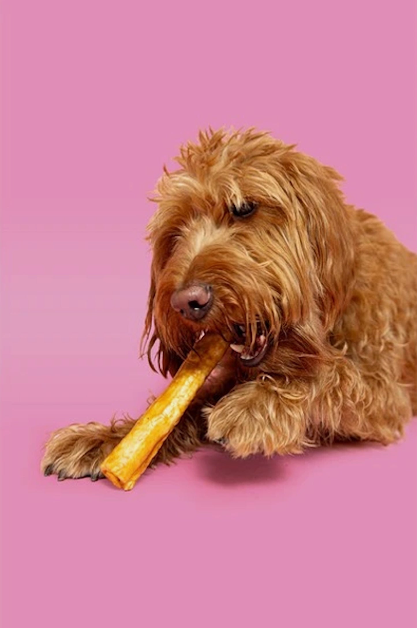 Pawtential Collagen Chew Peanut Butter Flavour Large 110g