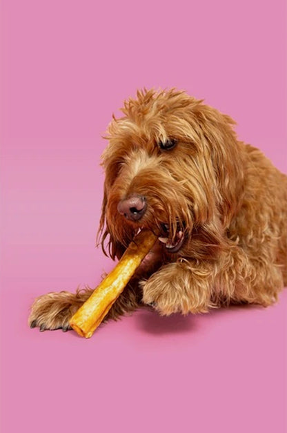 Pawtential Collagen Chew Peanut Butter Flavour Large 110g