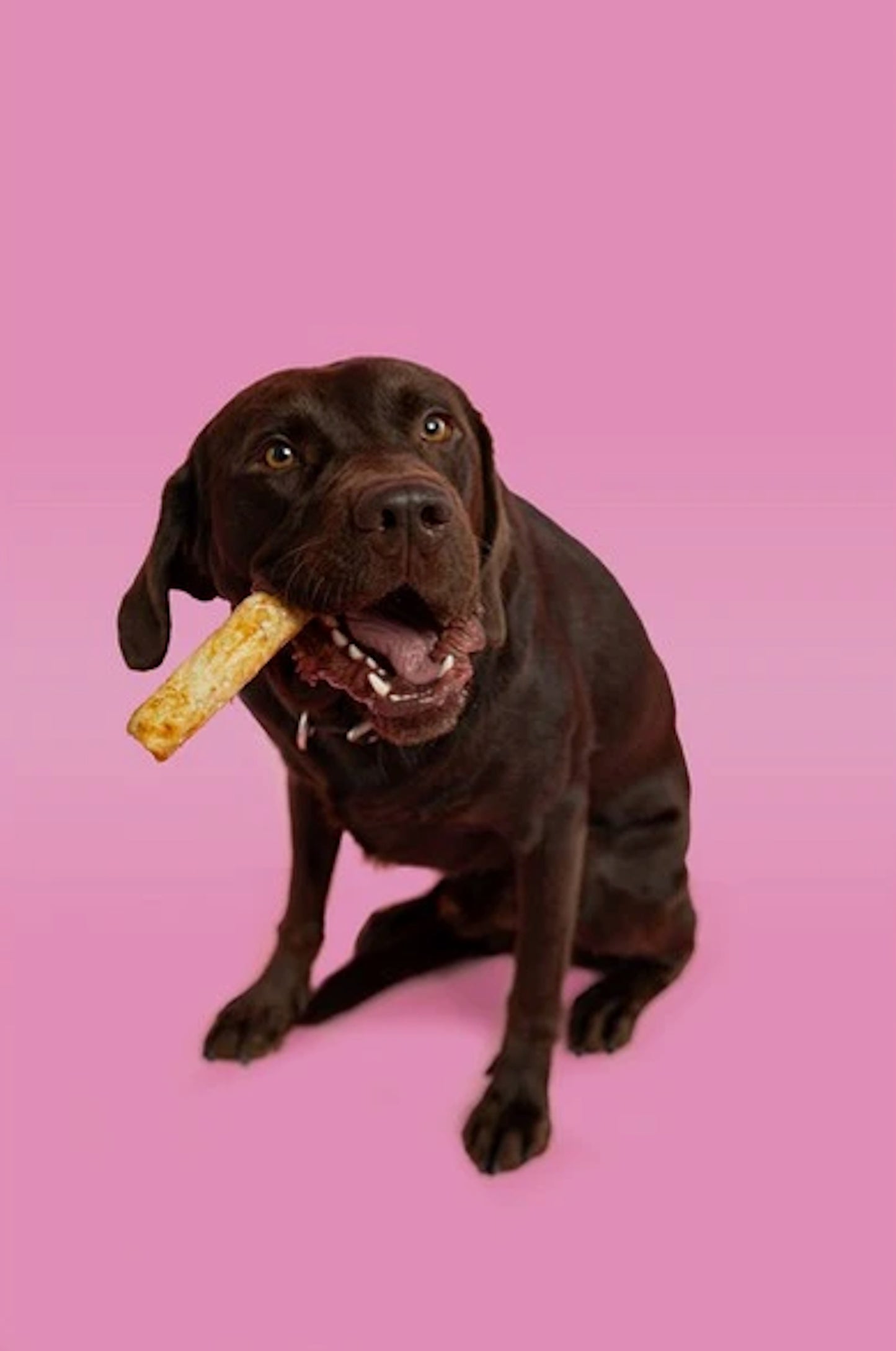 Pawtential Collagen Chew Salmon Flavour Large 110g