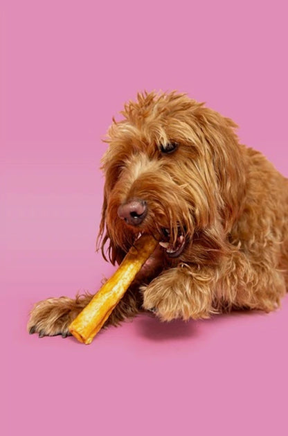 Pawtential Collagen Chew Chicken Flavour Large 110G