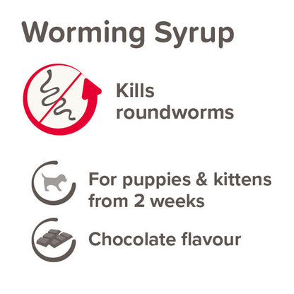 Beaphar Worming Syrup 45ml