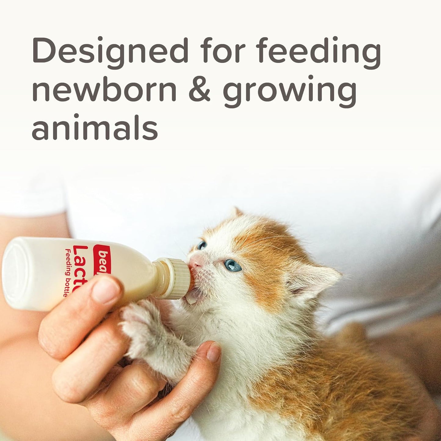 Beaphar Lactol Puppy Feeding Set