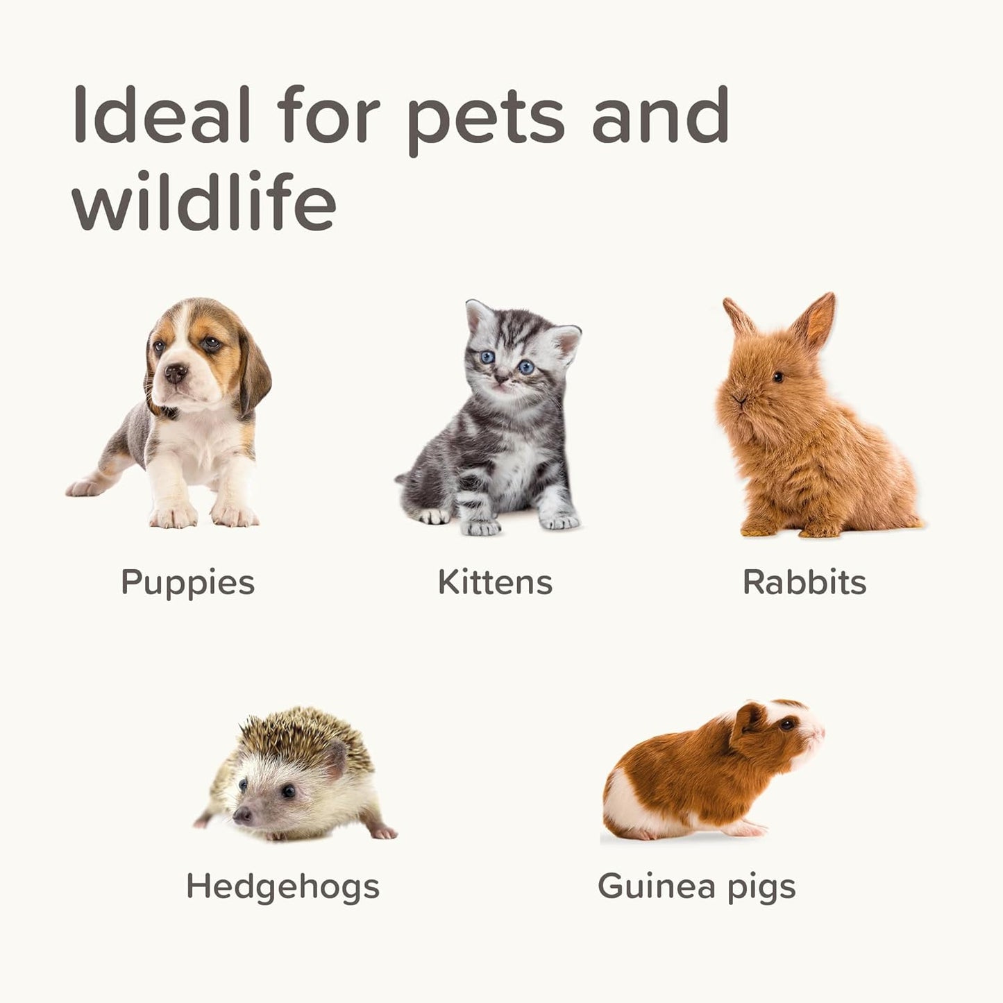Beaphar Lactol Puppy Feeding Set