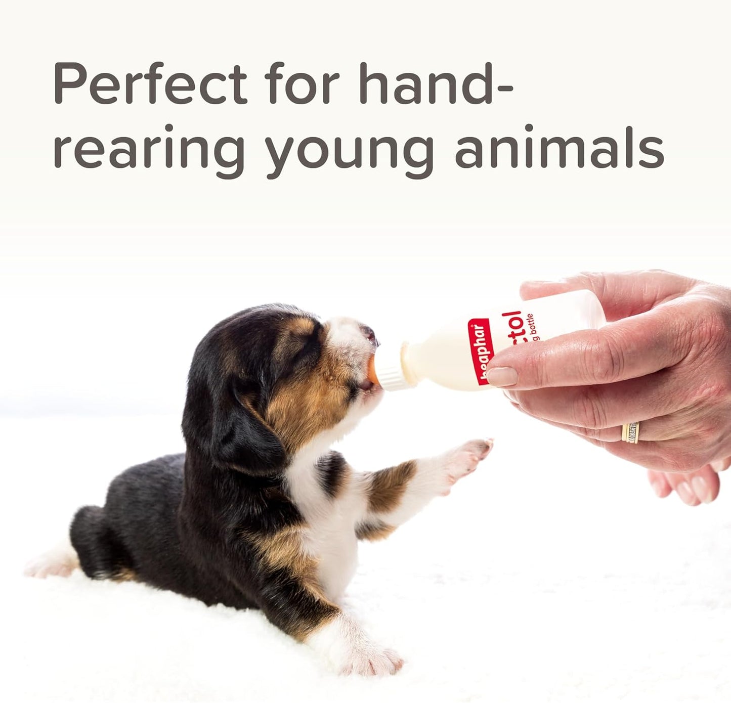 Beaphar Lactol Puppy Feeding Set