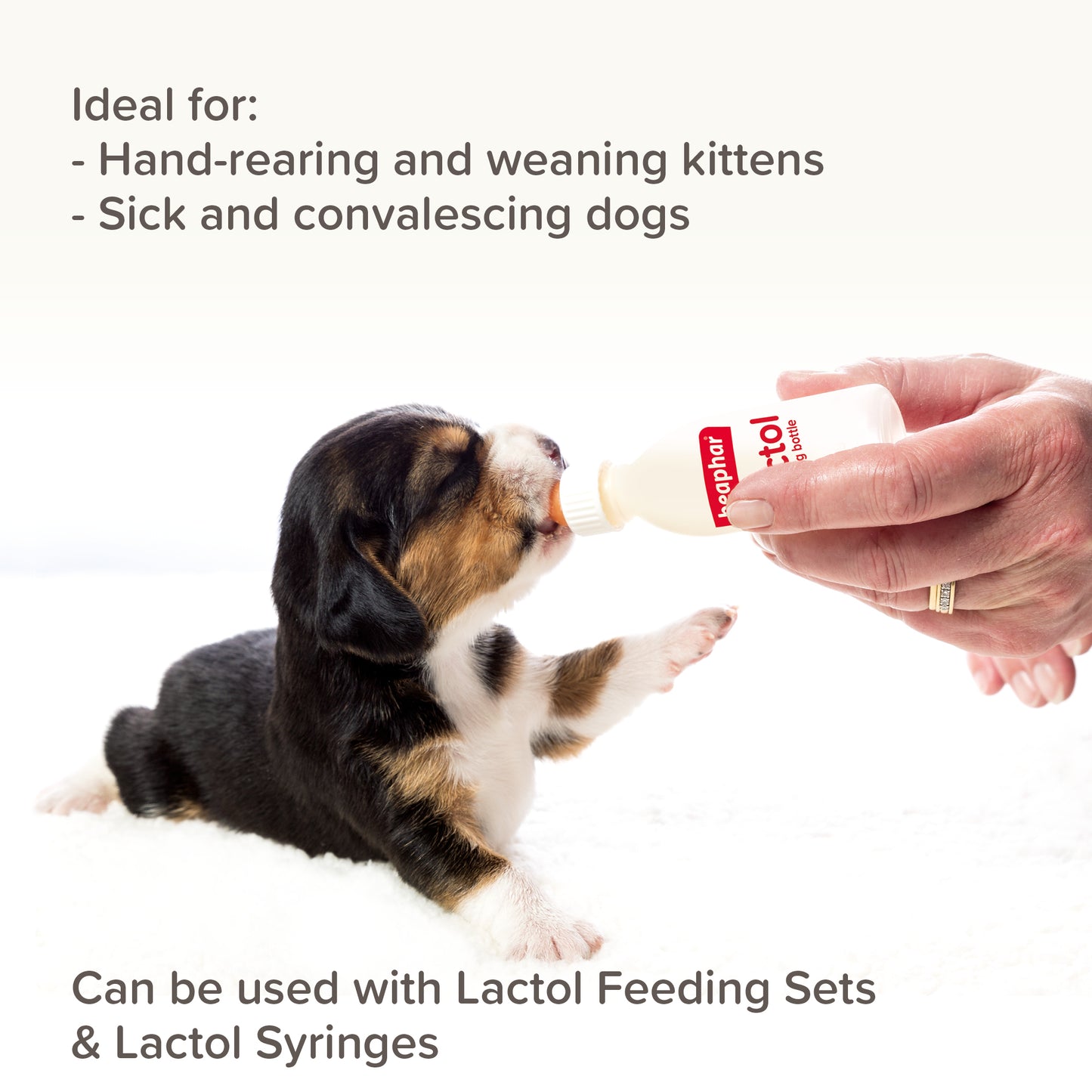 Beaphar Lactol Puppy Milk 500g